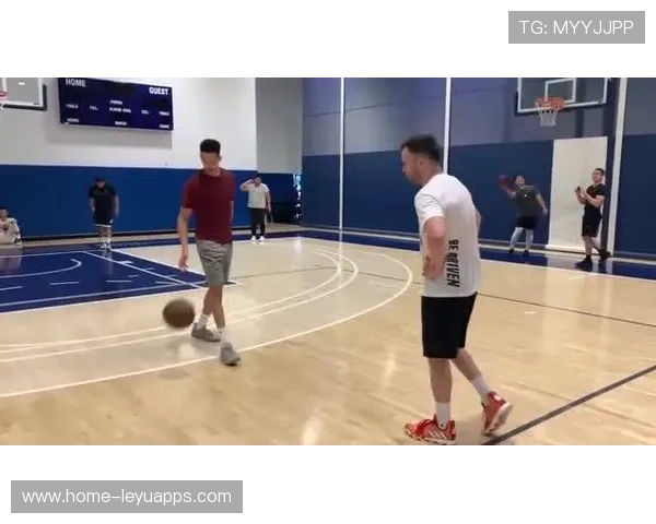 篮球在中国中小学劳动教育课程中的实践项目设计，中小学篮球现状